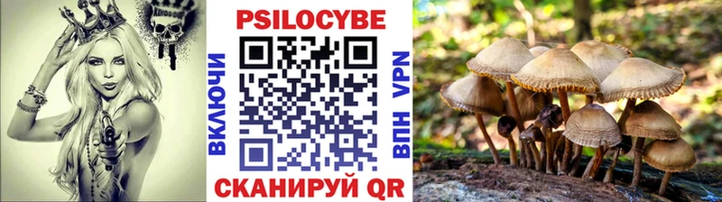 Псилоцибиновые грибы Psilocybe  сколько стоит  гидра как зайти  Кингисепп 