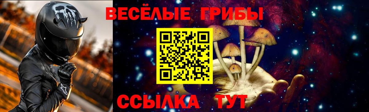 Галлюциногенные грибы мухоморы Кингисепп