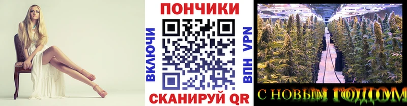 Бошки Шишки White Widow  даркнет официальный сайт  Кингисепп 